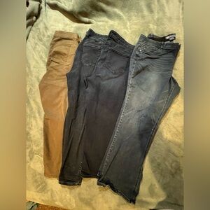 Any and Every Day Plus Size Pants